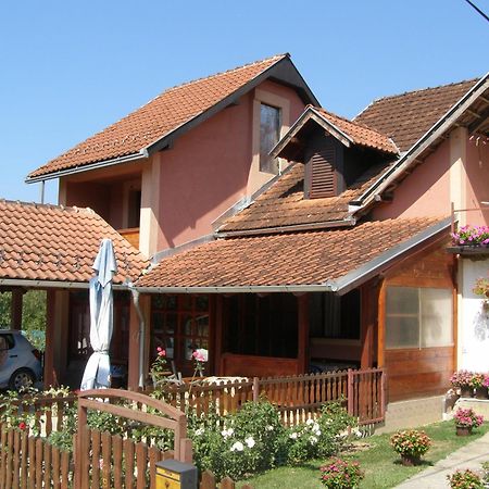 Guesthouse Tadic Guča 外观 照片